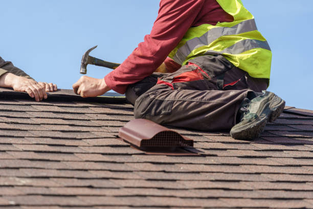 Best Roof Maintenance Services  in Fairbury, IL