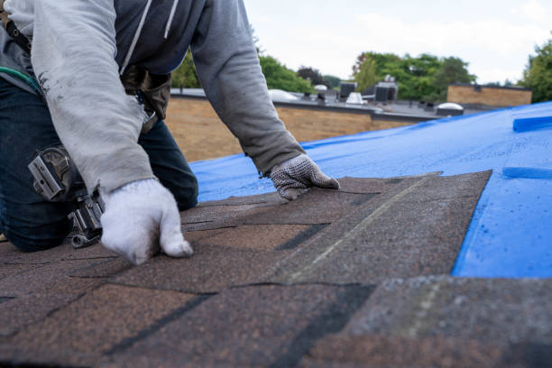 Best Residential Roofing Contractor  in Fairbury, IL