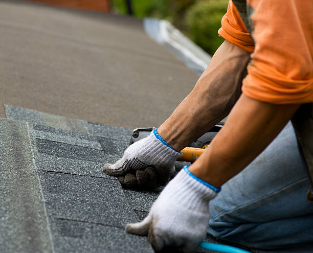 Best Local Roofing Companies  in Fairbury, IL
